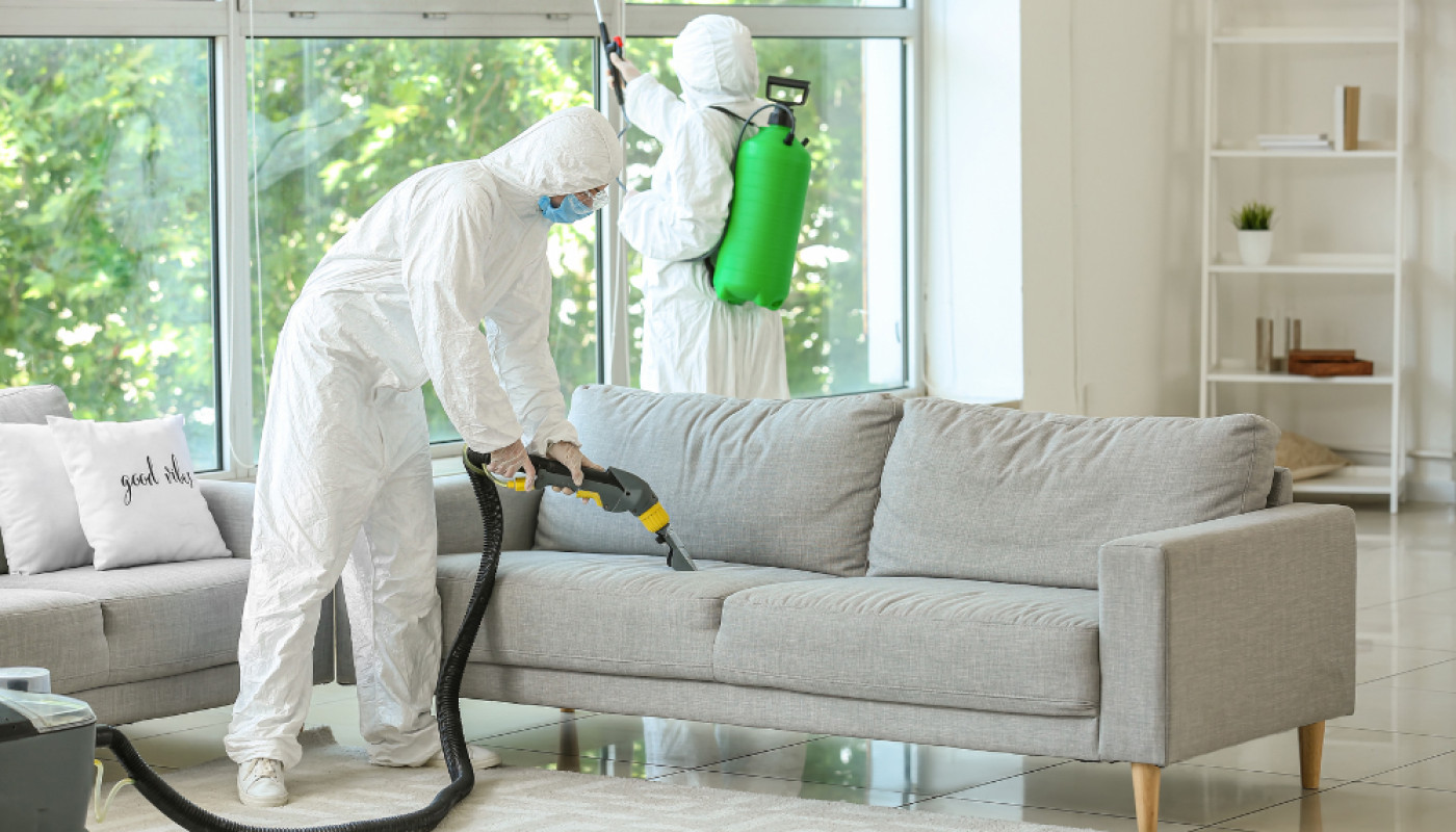 R.A.S Intervention : les experts de la désinsectisation de cafard !